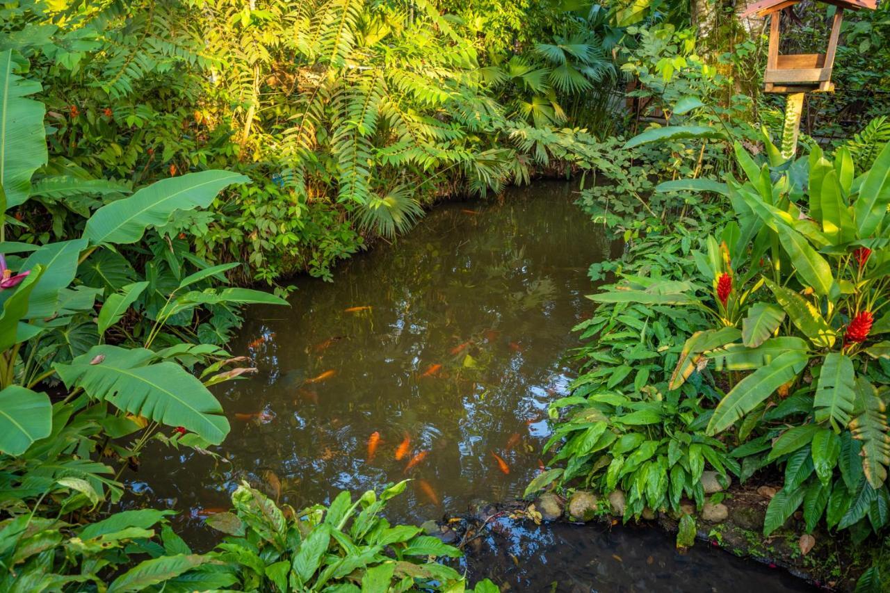 El Jardin Lodge & Spa Puerto Misahuallí エクステリア 写真